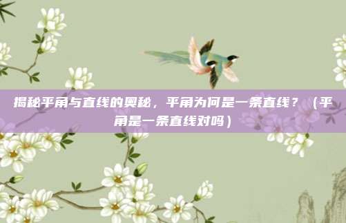 揭秘平角与直线的奥秘，平角为何是一条直线？（平角是一条直线对吗）