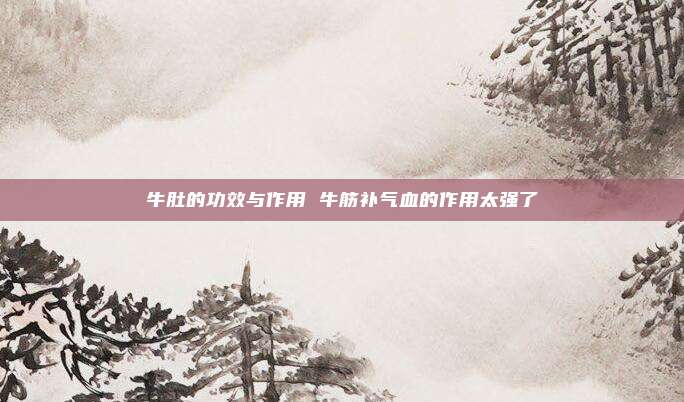 牛肚的功效与作用 牛筋补气血的作用太强了