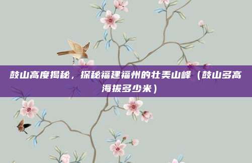 鼓山高度揭秘，探秘福建福州的壮美山峰（鼓山多高 海拔多少米）