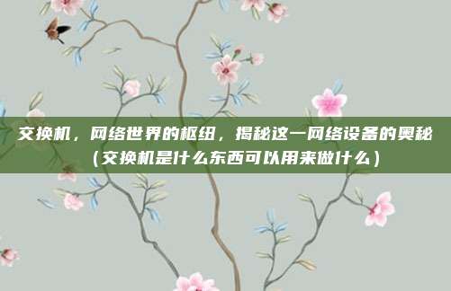 交换机，网络世界的枢纽，揭秘这一网络设备的奥秘（交换机是什么东西可以用来做什么）
