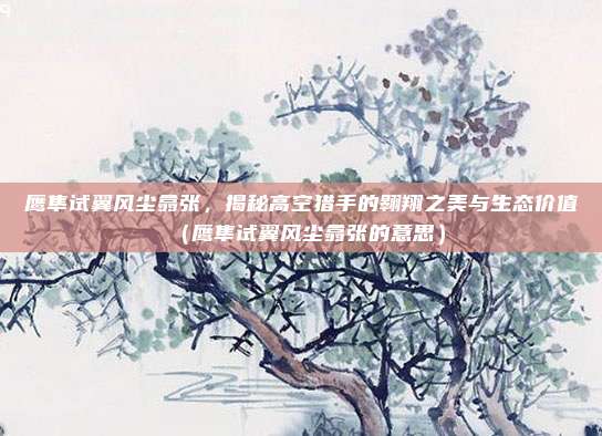 鹰隼试翼风尘翕张，揭秘高空猎手的翱翔之美与生态价值（鹰隼试翼风尘翕张的意思）