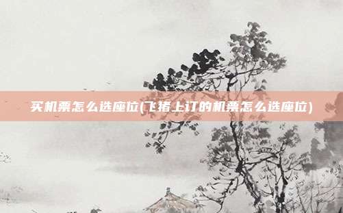 买机票怎么选座位(飞猪上订的机票怎么选座位)