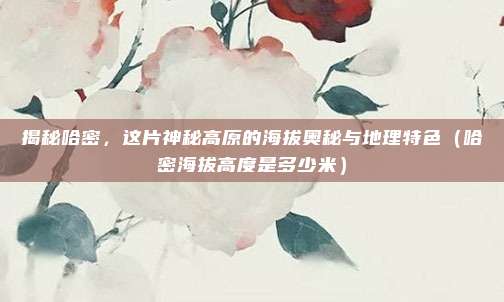 揭秘哈密，这片神秘高原的海拔奥秘与地理特色（哈密海拔高度是多少米）