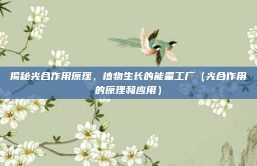 揭秘光合作用原理，植物生长的能量工厂（光合作用的原理和应用）