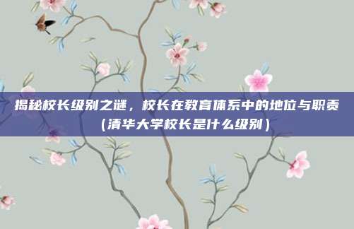 揭秘校长级别之谜，校长在教育体系中的地位与职责（清华大学校长是什么级别）