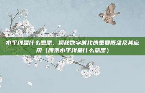 水平线是什么意思，揭秘数字时代的重要概念及其应用（股票水平线是什么意思）