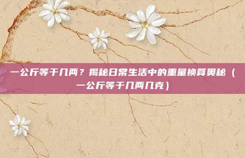 一公斤等于几两？揭秘日常生活中的重量换算奥秘（一公斤等于几两几克）