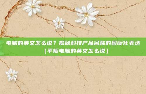 电脑的英文怎么说？揭秘科技产品名称的国际化表达（平板电脑的英文怎么说）
