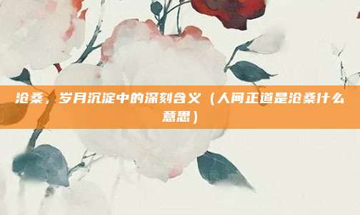 沧桑，岁月沉淀中的深刻含义（人间正道是沧桑什么意思）
