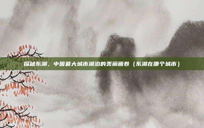 探秘东湖，中国最大城市湖泊的美丽画卷（东湖在哪个城市）