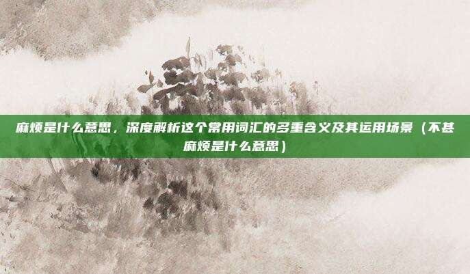 麻烦是什么意思，深度解析这个常用词汇的多重含义及其运用场景（不甚麻烦是什么意思）