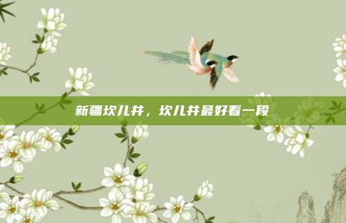 新疆坎儿井，坎儿井最好看一段