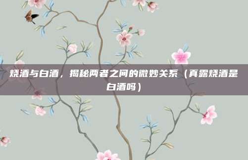 烧酒与白酒，揭秘两者之间的微妙关系（真露烧酒是白酒吗）