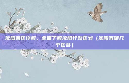 沈阳各区详解，全面了解沈阳行政区划（沈阳有哪几个区县）