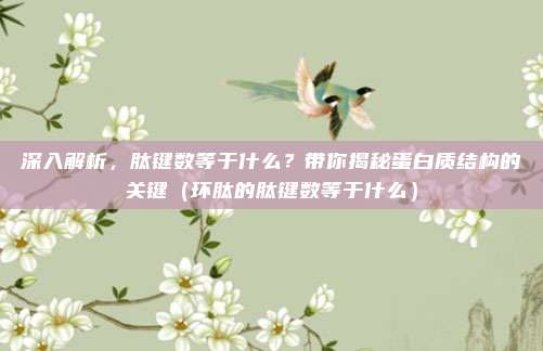 深入解析，肽键数等于什么？带你揭秘蛋白质结构的关键（环肽的肽键数等于什么）