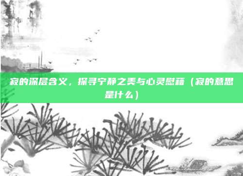 寂的深层含义，探寻宁静之美与心灵慰藉（寂的意思是什么）