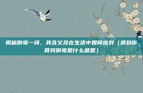 揭秘倒霉一词，其含义及在生活中如何应对（遇到你算我倒霉是什么意思）