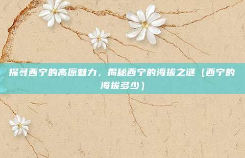 探寻西宁的高原魅力，揭秘西宁的海拔之谜（西宁的海拔多少）