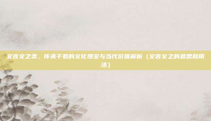 文言文之美，传承千载的文化瑰宝与当代价值解析（文言文之的意思和用法）