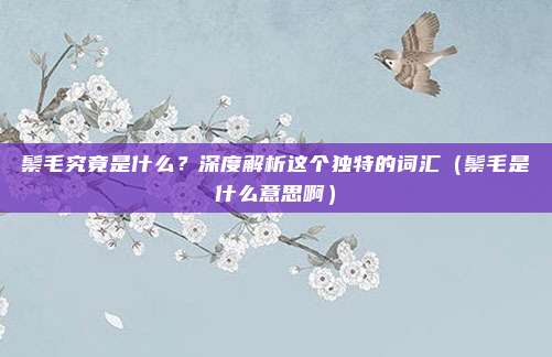鬃毛究竟是什么？深度解析这个独特的词汇（鬃毛是什么意思啊）