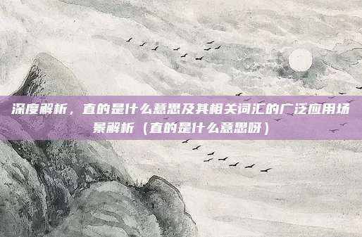 深度解析，直的是什么意思及其相关词汇的广泛应用场景解析（直的是什么意思呀）