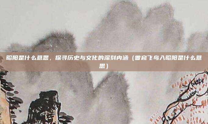 昭阳是什么意思，探寻历史与文化的深刻内涵（曾窥飞鸟入昭阳是什么意思）