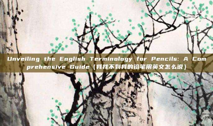 Unveiling the English Terminology for Pencils: A Comprehensive Guide（我找不到我的铅笔用英文怎么说）
