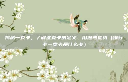 揭秘一类卡，了解这类卡的定义、用途与优势（银行卡一类卡是什么卡）