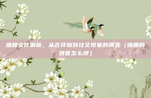 锦鲤文化解析，从吉祥物到社交现象的演变（锦鲤的拼音怎么拼）