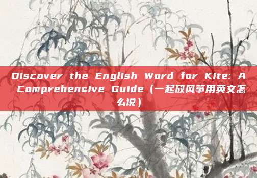 Discover the English Word for Kite: A Comprehensive Guide（一起放风筝用英文怎么说）
