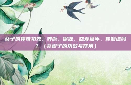 葵子的神奇功效，养颜、保健、益寿延年，你知道吗？（葵树子的功效与作用）