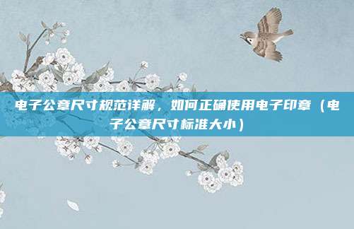 电子公章尺寸规范详解，如何正确使用电子印章（电子公章尺寸标准大小）