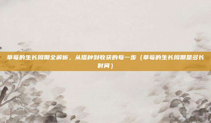 草莓的生长周期全解析，从播种到收获的每一步（草莓的生长周期是多长时间）