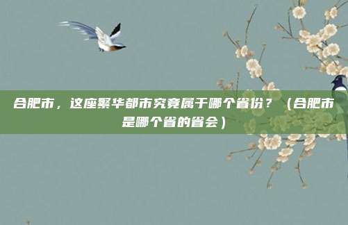 合肥市，这座繁华都市究竟属于哪个省份？（合肥市是哪个省的省会）