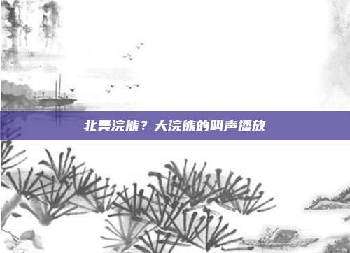 北美浣熊？大浣熊的叫声播放