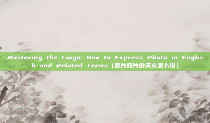 Mastering the Lingo: How to Express Photo in English and Related Terms（图片照片的英文怎么说）