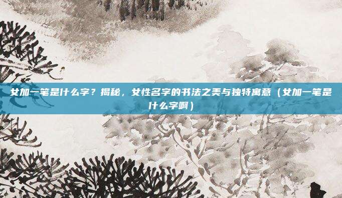 女加一笔是什么字？揭秘，女性名字的书法之美与独特寓意（女加一笔是什么字啊）