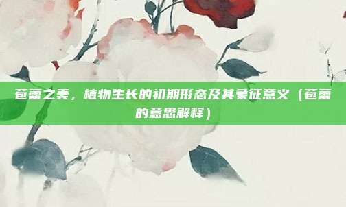 苞蕾之美，植物生长的初期形态及其象征意义（苞蕾的意思解释）