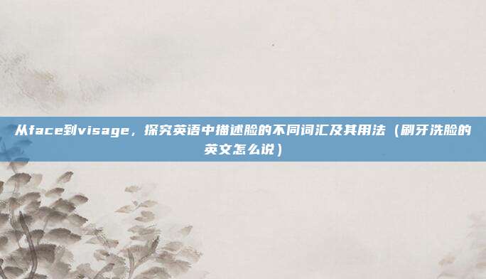 从face到visage，探究英语中描述脸的不同词汇及其用法（刷牙洗脸的英文怎么说）
