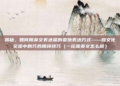 揭秘，如何用英文表达屎的委婉表达方式——跨文化交流中的巧妙用词技巧（一坨屎英文怎么说）