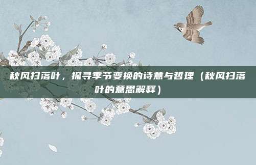 秋风扫落叶，探寻季节变换的诗意与哲理（秋风扫落叶的意思解释）
