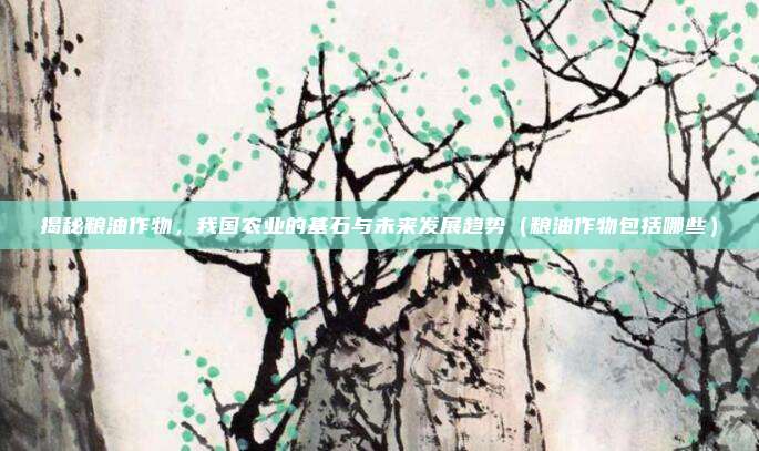 揭秘粮油作物，我国农业的基石与未来发展趋势（粮油作物包括哪些）