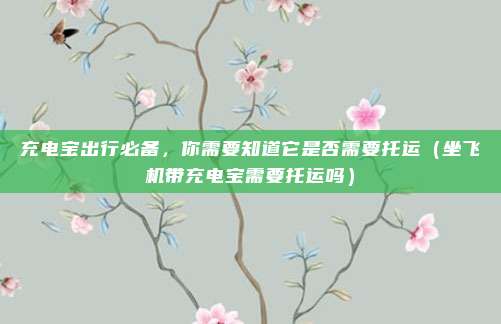 充电宝出行必备，你需要知道它是否需要托运（坐飞机带充电宝需要托运吗）