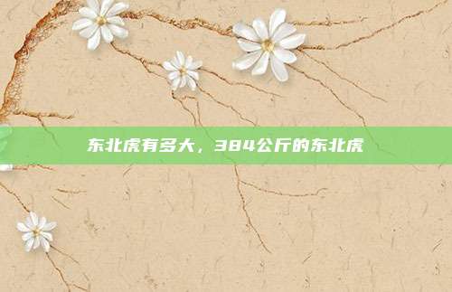 东北虎有多大，384公斤的东北虎