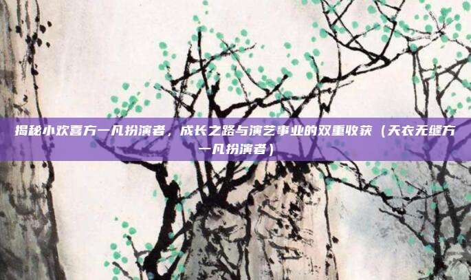 揭秘小欢喜方一凡扮演者,成长之路与演艺事业的双重收获(天衣无缝方一凡扮演者)