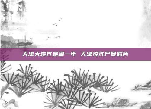 天津大爆炸是哪一年 天津爆炸尸骨照片