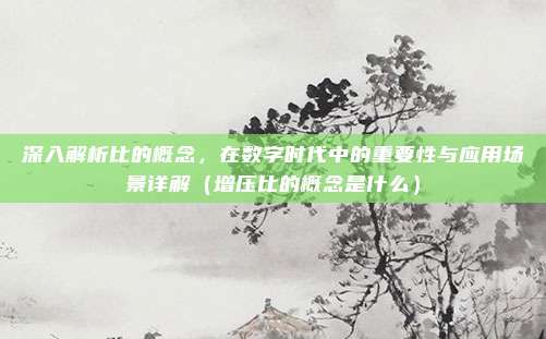 深入解析比的概念,在数字时代中的重要性与应用场景详解(增压比的概念是什么)