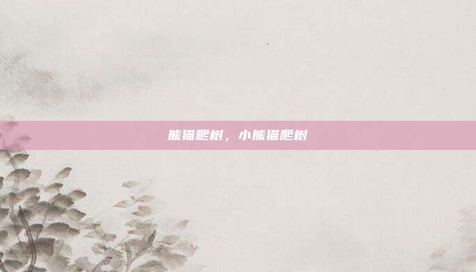 熊猫爬树,小熊猫爬树