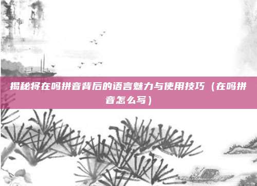 揭秘将在吗拼音背后的语言魅力与使用技巧（在吗拼音怎么写）
