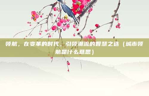 领航，在变革的时代，引领潮流的智慧之选（城市领航是什么意思）